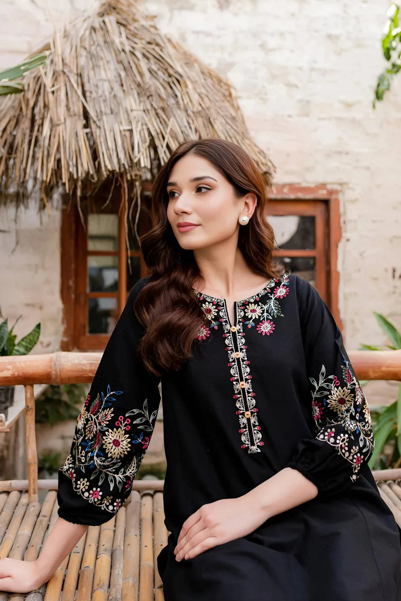 Dhanak-2pc Embroidered- 311